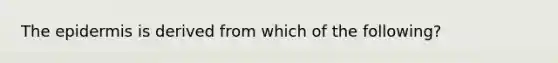 The epidermis is derived from which of the following?