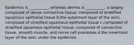 Epidermis is __________, whereas dermis is __________. a.largely composed of dense connective tissue; composed of stratified squamous epithelial tissue b.the outermost layer of the skin; composed of stratified squamous epithelial tissue c.composed of stratified squamous epithelial tissue; composed of connective tissue, smooth muscle, and nerve cell processes d.the innermost layer of the skin; under the epidermis