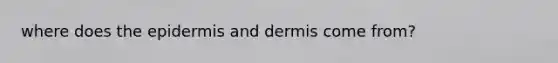 where does <a href='https://www.questionai.com/knowledge/kBFgQMpq6s-the-epidermis' class='anchor-knowledge'>the epidermis</a> and dermis come from?