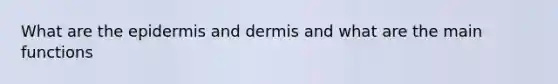 What are the epidermis and dermis and what are the main functions