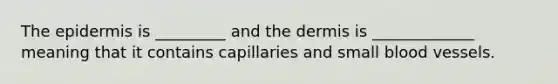 The epidermis is _________ and the dermis is _____________ meaning that it contains capillaries and small blood vessels.