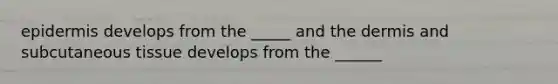 epidermis develops from the _____ and the dermis and subcutaneous tissue develops from the ______