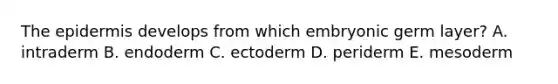 The epidermis develops from which embryonic germ layer? A. intraderm B. endoderm C. ectoderm D. periderm E. mesoderm