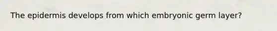 The epidermis develops from which embryonic germ layer?