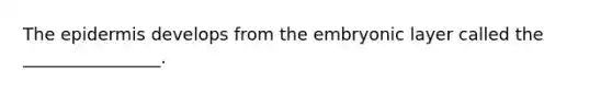 The epidermis develops from the embryonic layer called the ________________.