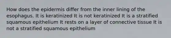 How does the epidermis differ from the inner lining of the esophagus. It is keratinized It is not keratinized It is a stratified squamous epithelium It rests on a layer of connective tissue It is not a stratified squamous epithelium