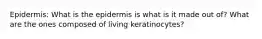 Epidermis: What is the epidermis is what is it made out of? What are the ones composed of living keratinocytes?