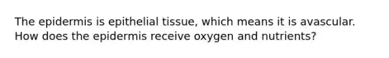 The epidermis is epithelial tissue, which means it is avascular. How does the epidermis receive oxygen and nutrients?