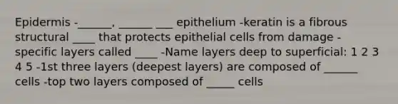 Epidermis -______, ______ ___ epithelium -keratin is a fibrous structural ____ that protects epithelial cells from damage -specific layers called ____ -Name layers deep to superficial: 1 2 3 4 5 -1st three layers (deepest layers) are composed of ______ cells -top two layers composed of _____ cells