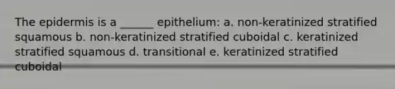 The epidermis is a ______ epithelium: a. non-keratinized stratified squamous b. non-keratinized stratified cuboidal c. keratinized stratified squamous d. transitional e. keratinized stratified cuboidal