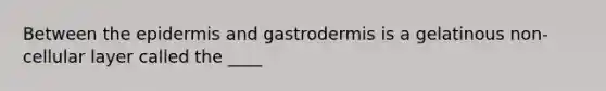 Between the epidermis and gastrodermis is a gelatinous non-cellular layer called the ____