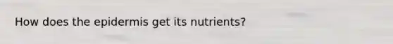 How does the epidermis get its nutrients?