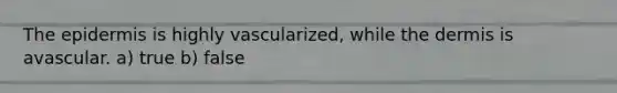 The epidermis is highly vascularized, while the dermis is avascular. a) true b) false