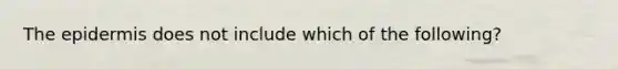 The epidermis does not include which of the following?