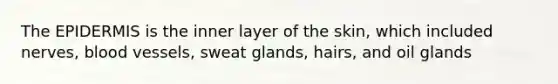 The EPIDERMIS is the inner layer of the skin, which included nerves, blood vessels, sweat glands, hairs, and oil glands