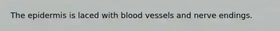 The epidermis is laced with blood vessels and nerve endings.