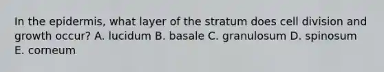 In <a href='https://www.questionai.com/knowledge/kBFgQMpq6s-the-epidermis' class='anchor-knowledge'>the epidermis</a>, what layer of the stratum does <a href='https://www.questionai.com/knowledge/kjHVAH8Me4-cell-division' class='anchor-knowledge'>cell division</a> and growth occur? A. lucidum B. basale C. granulosum D. spinosum E. corneum