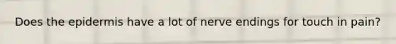 Does the epidermis have a lot of nerve endings for touch in pain?