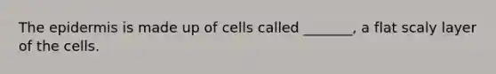 The epidermis is made up of cells called _______, a flat scaly layer of the cells.