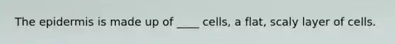 <a href='https://www.questionai.com/knowledge/kBFgQMpq6s-the-epidermis' class='anchor-knowledge'>the epidermis</a> is made up of ____ cells, a flat, scaly layer of cells.