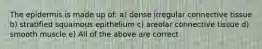 The epidermis is made up of: a) dense irregular connective tissue b) stratified squamous epithelium c) areolar connective tissue d) smooth muscle e) All of the above are correct