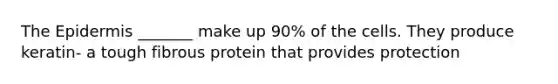 The Epidermis _______ make up 90% of the cells. They produce keratin- a tough fibrous protein that provides protection