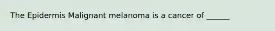 The Epidermis Malignant melanoma is a cancer of ______