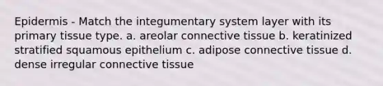 Epidermis - Match the integumentary system layer with its primary tissue type. a. areolar <a href='https://www.questionai.com/knowledge/kYDr0DHyc8-connective-tissue' class='anchor-knowledge'>connective tissue</a> b. keratinized stratified squamous epithelium c. adipose connective tissue d. dense irregular connective tissue