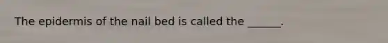 The epidermis of the nail bed is called the ______.