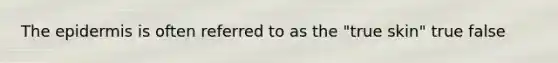 <a href='https://www.questionai.com/knowledge/kBFgQMpq6s-the-epidermis' class='anchor-knowledge'>the epidermis</a> is often referred to as the "true skin" true false
