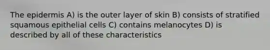 The epidermis A) is the outer layer of skin B) consists of stratified squamous epithelial cells C) contains melanocytes D) is described by all of these characteristics