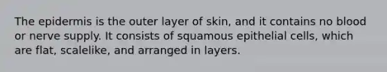 <a href='https://www.questionai.com/knowledge/kBFgQMpq6s-the-epidermis' class='anchor-knowledge'>the epidermis</a> is the outer layer of skin, and it contains no blood or nerve supply. It consists of squamous epithelial cells, which are flat, scalelike, and arranged in layers.