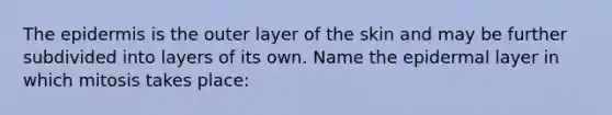 The epidermis is the outer layer of the skin and may be further subdivided into layers of its own. Name the epidermal layer in which mitosis takes place: