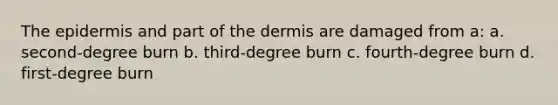 <a href='https://www.questionai.com/knowledge/kBFgQMpq6s-the-epidermis' class='anchor-knowledge'>the epidermis</a> and part of <a href='https://www.questionai.com/knowledge/kEsXbG6AwS-the-dermis' class='anchor-knowledge'>the dermis</a> are damaged from a: a. second-degree burn b. third-degree burn c. fourth-degree burn d. first-degree burn