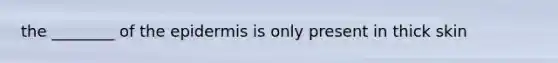 the ________ of the epidermis is only present in thick skin