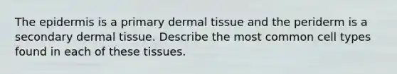 The epidermis is a primary dermal tissue and the periderm is a secondary dermal tissue. Describe the most common cell types found in each of these tissues.