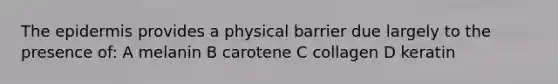 The epidermis provides a physical barrier due largely to the presence of: A melanin B carotene C collagen D keratin