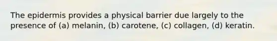 The epidermis provides a physical barrier due largely to the presence of (a) melanin, (b) carotene, (c) collagen, (d) keratin.