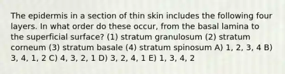 The epidermis in a section of thin skin includes the following four layers. In what order do these occur, from the basal lamina to the superficial surface? (1) stratum granulosum (2) stratum corneum (3) stratum basale (4) stratum spinosum A) 1, 2, 3, 4 B) 3, 4, 1, 2 C) 4, 3, 2, 1 D) 3, 2, 4, 1 E) 1, 3, 4, 2