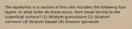 The epidermis in a section of thin skin includes the following four layers. In what order do these occur, from basal lamina to the superficial surface? (1) Stratum granulosum (2) Stratum corneum (3) Stratum basale (4) Stratum spinosum