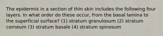 <a href='https://www.questionai.com/knowledge/kBFgQMpq6s-the-epidermis' class='anchor-knowledge'>the epidermis</a> in a section of thin skin includes the following four layers. In what order do these occur, from the basal lamina to the superficial surface? (1) stratum granulosum (2) stratum corneum (3) stratum basale (4) stratum spinosum