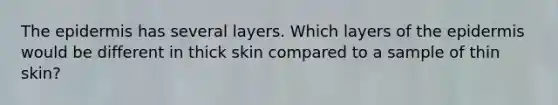 The epidermis has several layers. Which layers of the epidermis would be different in thick skin compared to a sample of thin skin?