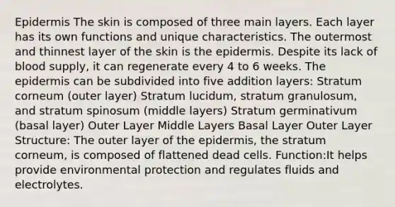 Epidermis The skin is composed of three main layers. Each layer has its own functions and unique characteristics. The outermost and thinnest layer of the skin is the epidermis. Despite its lack of blood supply, it can regenerate every 4 to 6 weeks. The epidermis can be subdivided into five addition layers: Stratum corneum (outer layer) Stratum lucidum, stratum granulosum, and stratum spinosum (middle layers) Stratum germinativum (basal layer) Outer Layer Middle Layers Basal Layer Outer Layer Structure: The outer layer of the epidermis, the stratum corneum, is composed of flattened dead cells. Function:It helps provide environmental protection and regulates fluids and electrolytes.