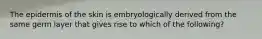 The epidermis of the skin is embryologically derived from the same germ layer that gives rise to which of the following?