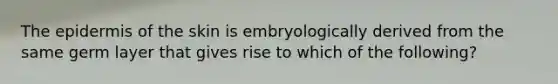 The epidermis of the skin is embryologically derived from the same germ layer that gives rise to which of the following?