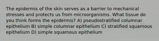 The epidermis of the skin serves as a barrier to mechanical stresses and protects us from microorganisms. What tissue do you think forms the epidermis? A) pseudostratified columnar epithelium B) simple columnar epithelium C) stratified squamous epithelium D) simple squamous epithelium