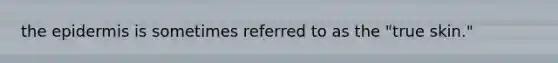 the epidermis is sometimes referred to as the "true skin."