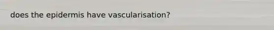 does the epidermis have vascularisation?