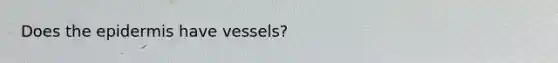 Does the epidermis have vessels?