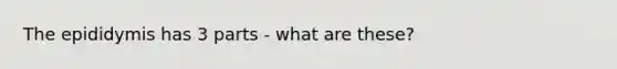 The epididymis has 3 parts - what are these?